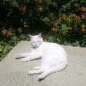 Meet your Posher, Maggie